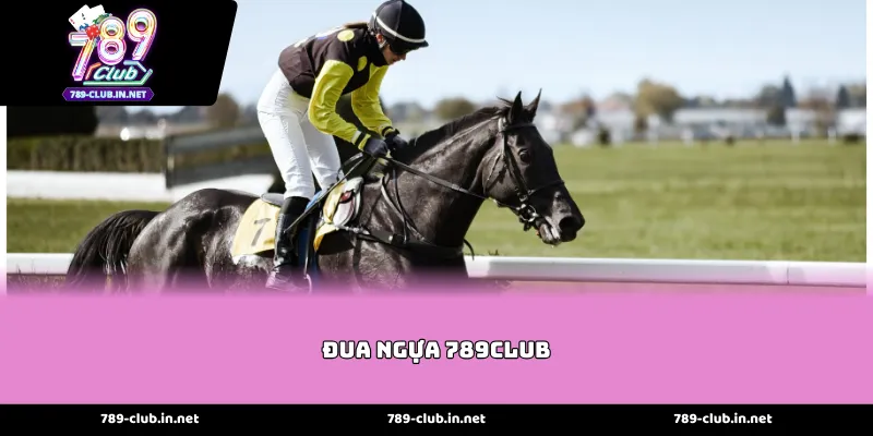 Tỷ Lệ Thưởng Cạnh Tranh Tại Đua Ngựa 789club