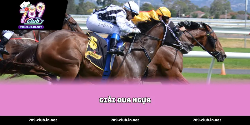 Tầm Vóc Của Các Giải đua ngựa Quốc Tế Hiện Nay