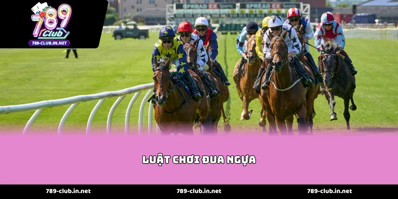 Những Quy Định Cơ Bản Trong Luật chơi đua ngựa